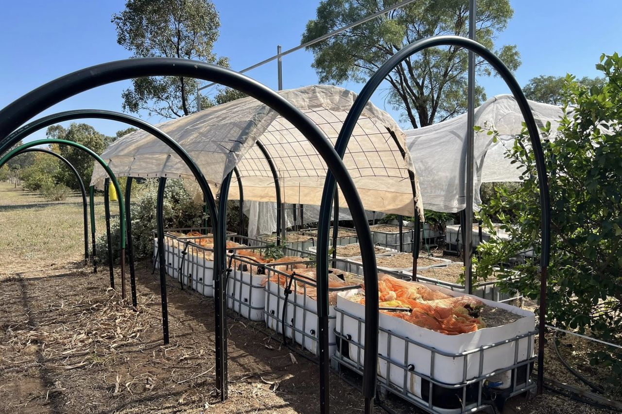 Grow Eat Learn – Permaculture St George