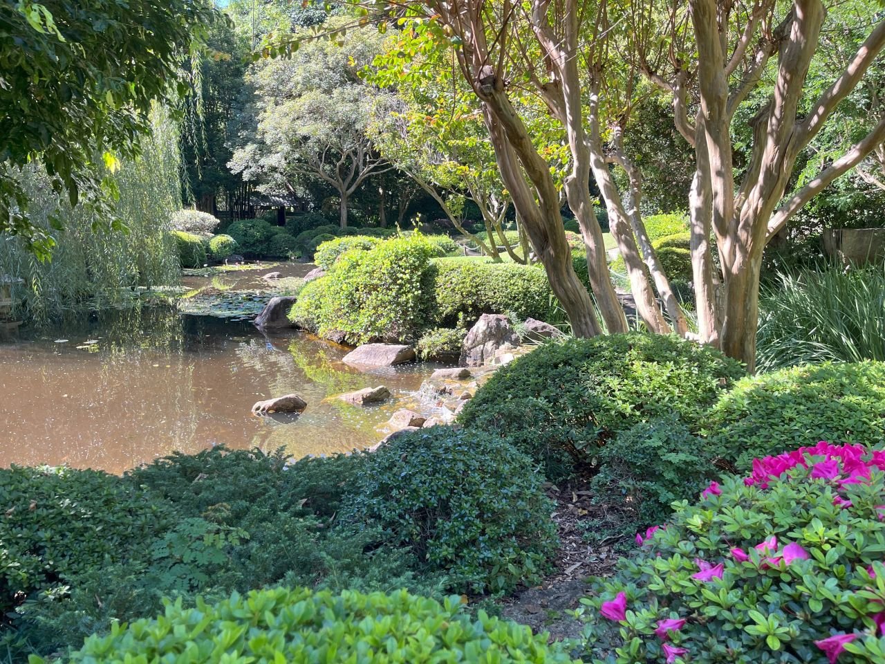Japanese Gardens in the Mt Coot-tha Botanical Gardens during a visit in April 2025