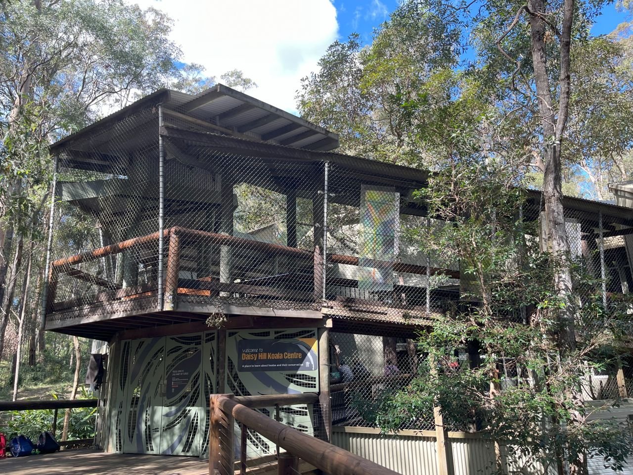 Members & guests enjoyed a visit to the Daisy Hill Koala Reserve during a day bus trip in July 2025