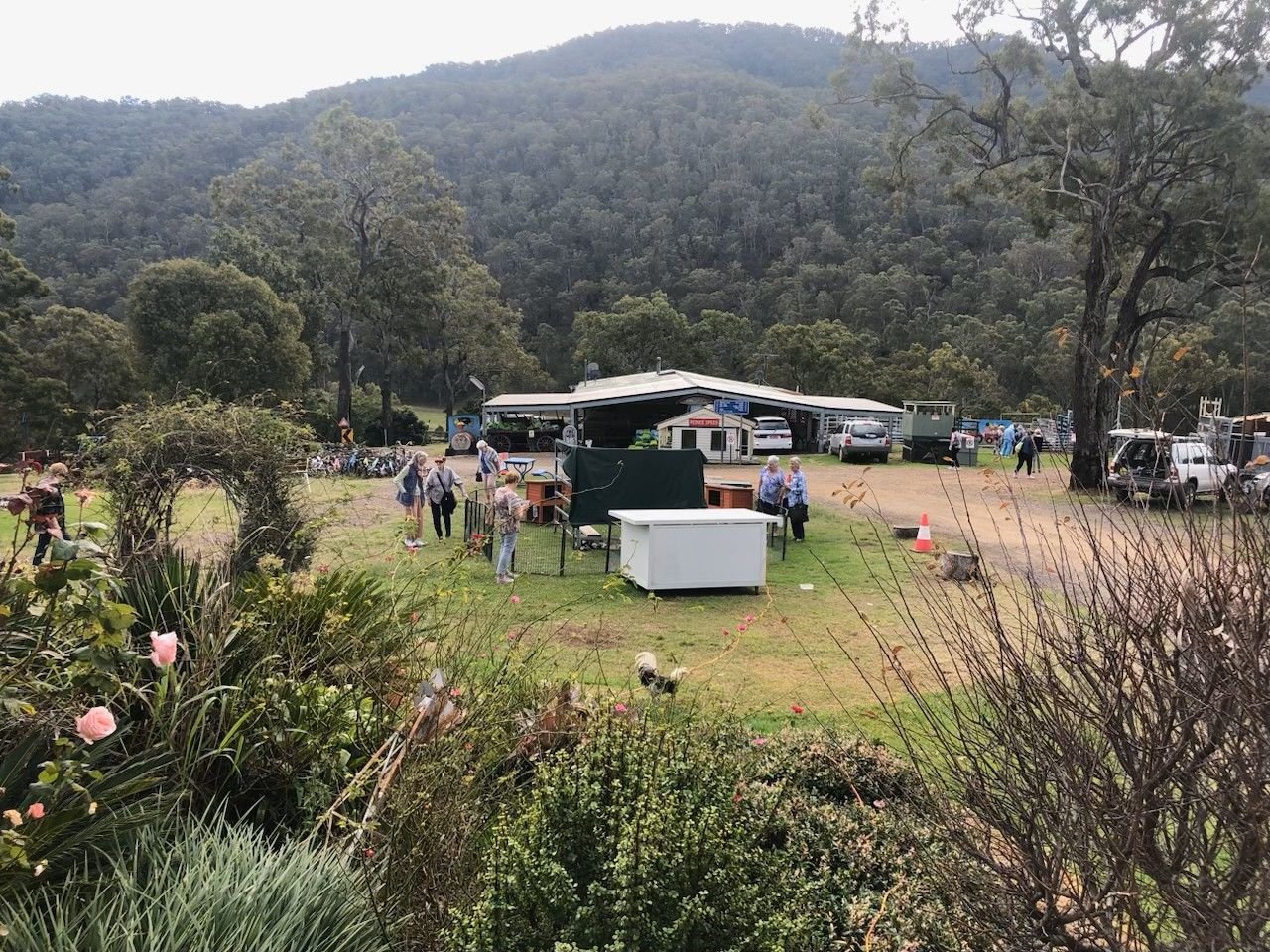 Members and guests enjoyed a day at Bestbrook Farmstay during the May 2025 day-bus trip