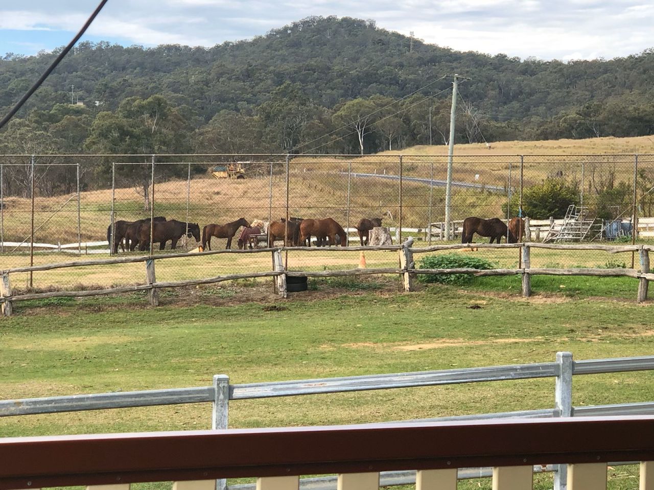 Members and guests enjoyed a day at Bestbrook Farmstay during the May 2025 day-bus trip
