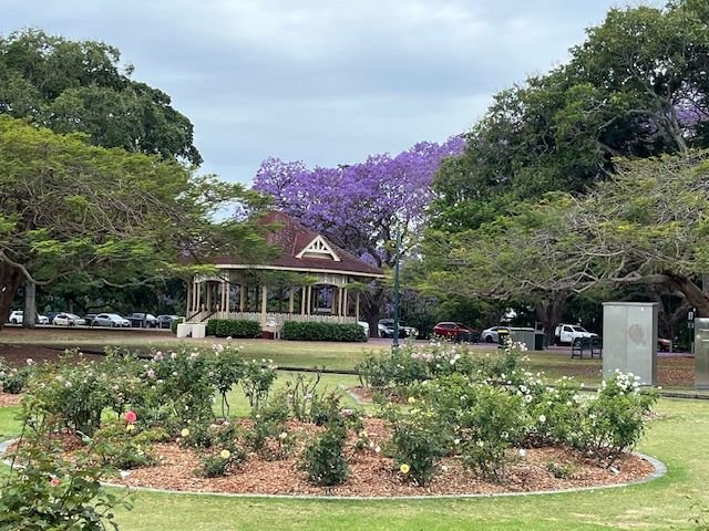 Members enjoyed a day outing in October 2025 to view the Jacaranda trees in bloom at New Farm Park before enjoying morning tea at the Powerhouse Cafe