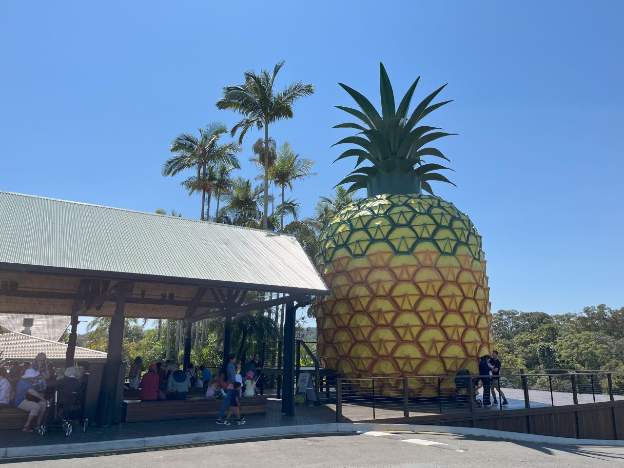 Members enjoyed a stop at the Big Pineapple during the September 2025 day bus trip to Woombye