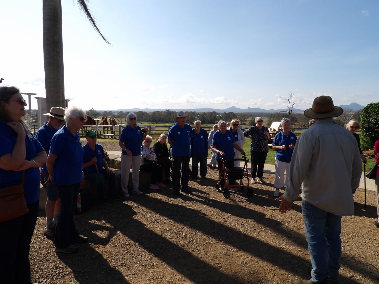 Camel Farm presentation
