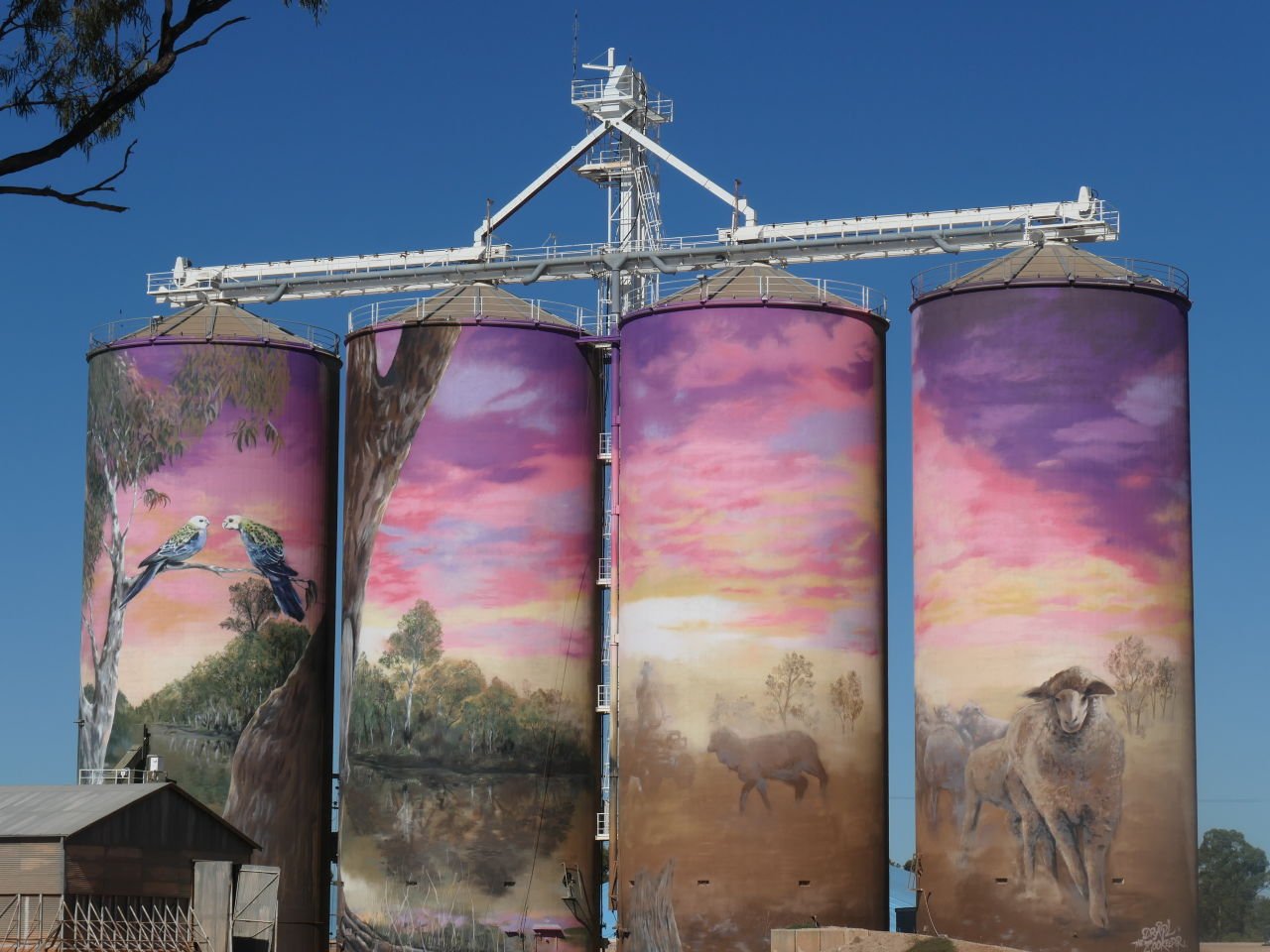 Lightening Ridge Trip - Thallon painted silos - between St George and Lightening Ridge