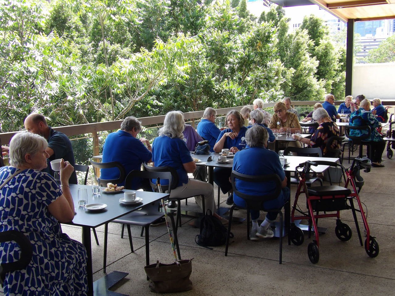 Morning tea Queensland Museum