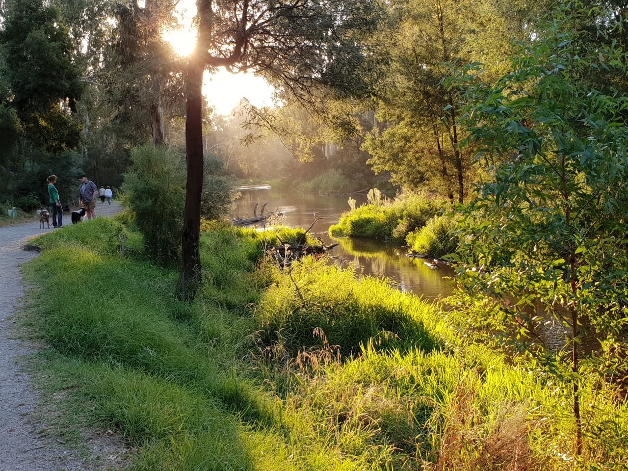 Walking along the Yarra River at Warrandyte after our Fish'n'Chips by the Yarra.
It was a perfect evening.