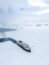 Highlights Of Antarctica