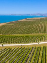 Self Drive South Island New Zealand