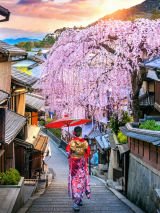 Spirit of Japan Autumn Landscapes & Live Sumo