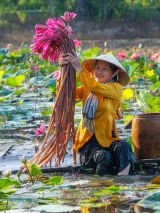 Vietnam Signature Experience