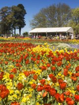 Southern Highlands - Canberra Discovery Escorted
