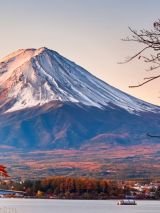 Spirit of Japan Autumn Landscapes & Live Sumo