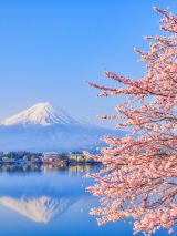 Japan Autumn Leaves Escorted Tour