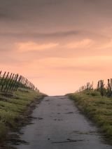 The Last Word on the Last Word