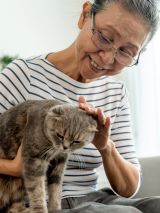 Don’t upset your pet 