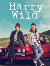 Win one of 5 DVD packages of Harry Wild: Series 1-4