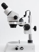 Aged care under the microscope