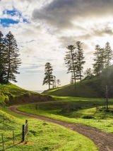 Norfolk Island Garden Week  - Springtime in Paradise
