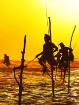 Sri Lanka & Singapore Escorted Group Tour