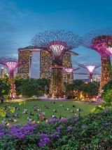 Singapore Escape Gardens & Culture