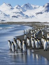 Antarctica Journey to the end of the world
