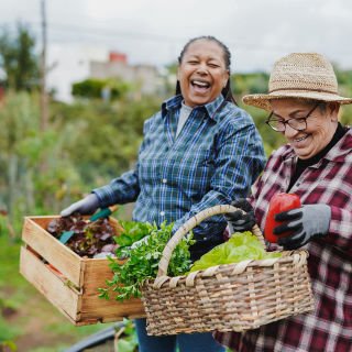 Growing older with purpose: How meaning shapes healthy ageing
