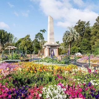 Carnival of Flowers & Sanctuary Cove Getaway