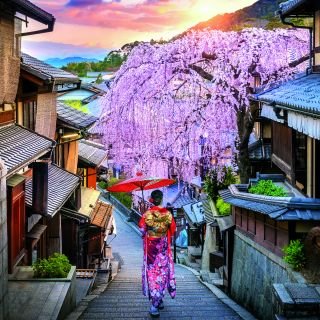 Journey Through Japan