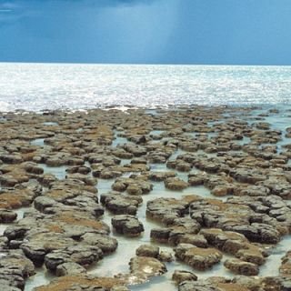 WA Budget Submission 2026-27