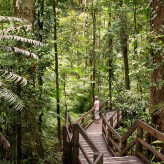 Cairns Stay & Explore Escorted 