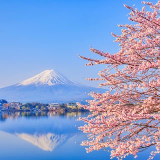 Japan Autumn Leaves Escorted Tour