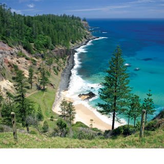 Uncover the wonders of Norfolk Island