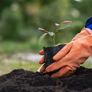 Council Rates - Get the rebates you're entitled to