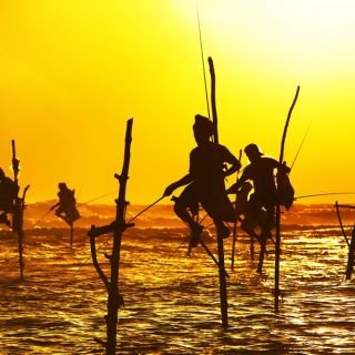 Sri Lanka & Singapore Escorted Group Tour