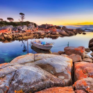 Tasmania’s Bay of Fires - Walk Experience