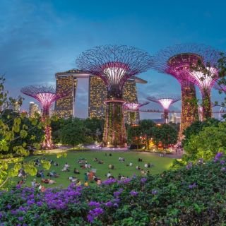 Singapore Escape Gardens & Culture