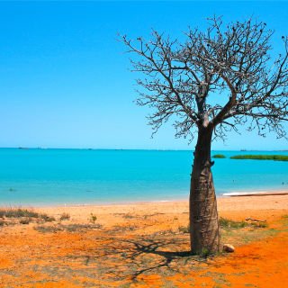 National Seniors Travel