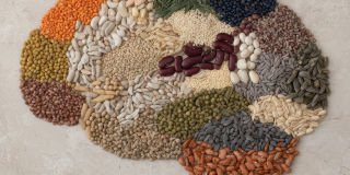 Three foods that feed your brain