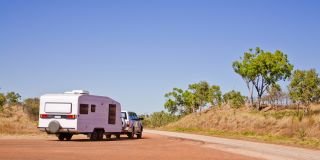 The call of the wild