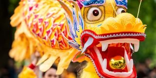 Spring into Chinese New Year