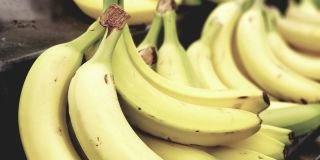 The world could soon go bananas for this great Aussie invention