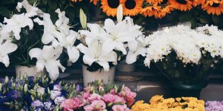 Delivering smiles with flowers
