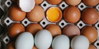 Eggsactly what you need?