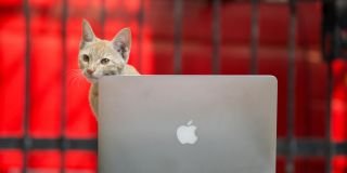 Why beating the market is so hard