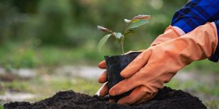 Council Rates - Get the rebates you're entitled to