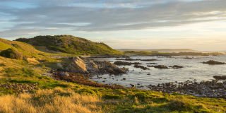 Top five escorted tours in 2026