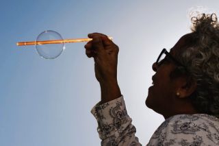 Experience matters for action on dementia