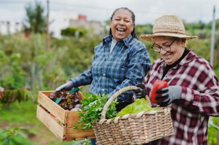 Growing older with purpose: How meaning shapes healthy ageing