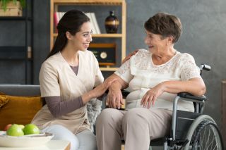 Understanding registered supporters in aged care